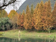 -贵阳市花溪国家城市湿地公园