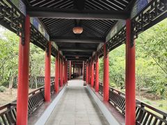 -南汇桃花村