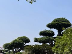 -南宁南湖公园