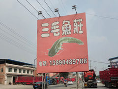 -三毛鱼庄(威连路店)