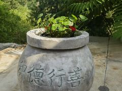 -白水寺森林公园