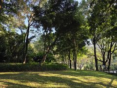 -云溪植物园