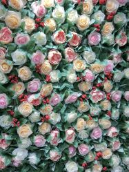 -变美丽半永久纹眉连锁·机器野生眉•洗眉