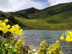 -太子岭滑雪场