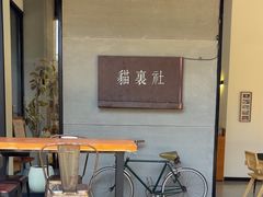 -猫里有甜