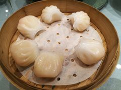 虾饺王-高第街56号港式餐厅(山大路店)