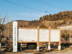 -五龙城郊森林公园