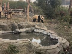 -武汉动物园