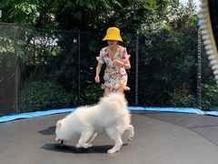 -汪说喵讲宠物乐园宠物酒店(红星美凯龙店)