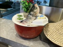 -松沪名灶·豆浆鱼头·新上海菜(江川路交大店)