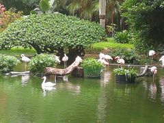 -九龙公园