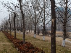 -西吴河科普公园