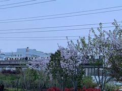 -外高桥保税区南(地铁站)