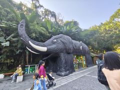 -野象谷景区