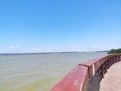 -宝安西湾红树林湿地公园