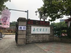 -嘉定紫藤园