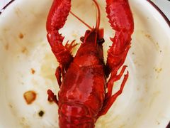 -聚味瞿记·龙虾堂(树木岭店)