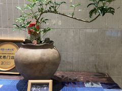 -周家二小姐的菜·扬州菜·香炒蟹·狮子头(江都金鹰店)