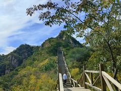 -大岭沟猕猴桃谷风景区