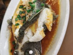 -鑫鸿达·海鲜闽菜热炒小馆(中山路店)