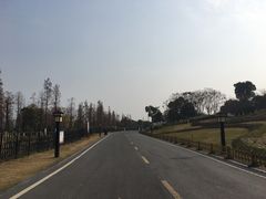 -习家池