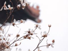 -东华门大街小区
