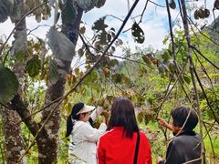 -楠溪江风景名胜区