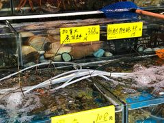 -四海之家(蛇口店)