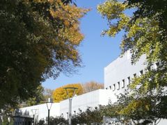 -北京国家会计学院