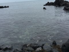 -龙头岩(Dragon Head Rock)