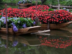 -深圳市中科院仙湖植物园