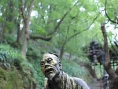 -南山植物园