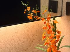 -手佳·水疗汇(嘉益店)