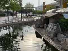 -东方时尚驾校(总部)