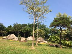 -玉树公园