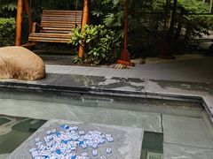 -天目湖御水温泉·度假酒店