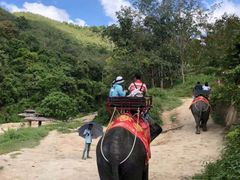 -普吉镇