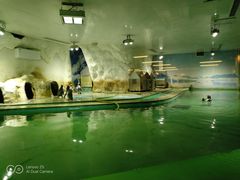 -北戴河圣蓝海洋公园