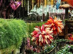 -正佳雨林生态植物园