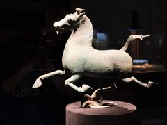 -甘肃省博物馆