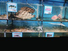 -范饭椰林川湘味海鲜·椰子鸡(三亚湾椰梦长廊店)