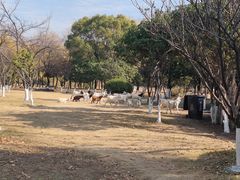 -杭州师范大学(下沙校区)