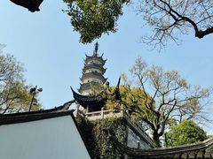 -苏州上方山国家森林公园