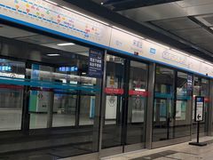 -宋家庄(地铁站)