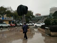 -宁波市妇女儿童医院停车场(医院西侧)