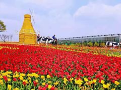 -兰陵国家农业公园