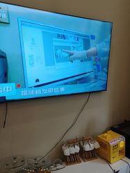 -碧莲盛·不剃发植发