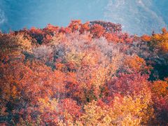 -周口店坡峰岭风景区