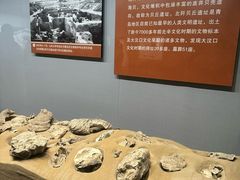 -青岛市博物馆
