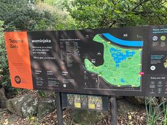 -墨尔本皇家植物园